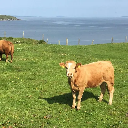 The Old Fisherman's Holiday home